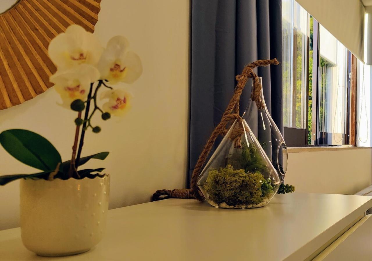 Stylish And Elegant Studio - Best View And Location In Coimbra Downton Buitenkant foto